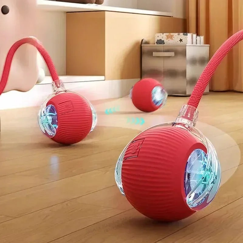 Interactive Cat/Dog Toys Bouncy Ball