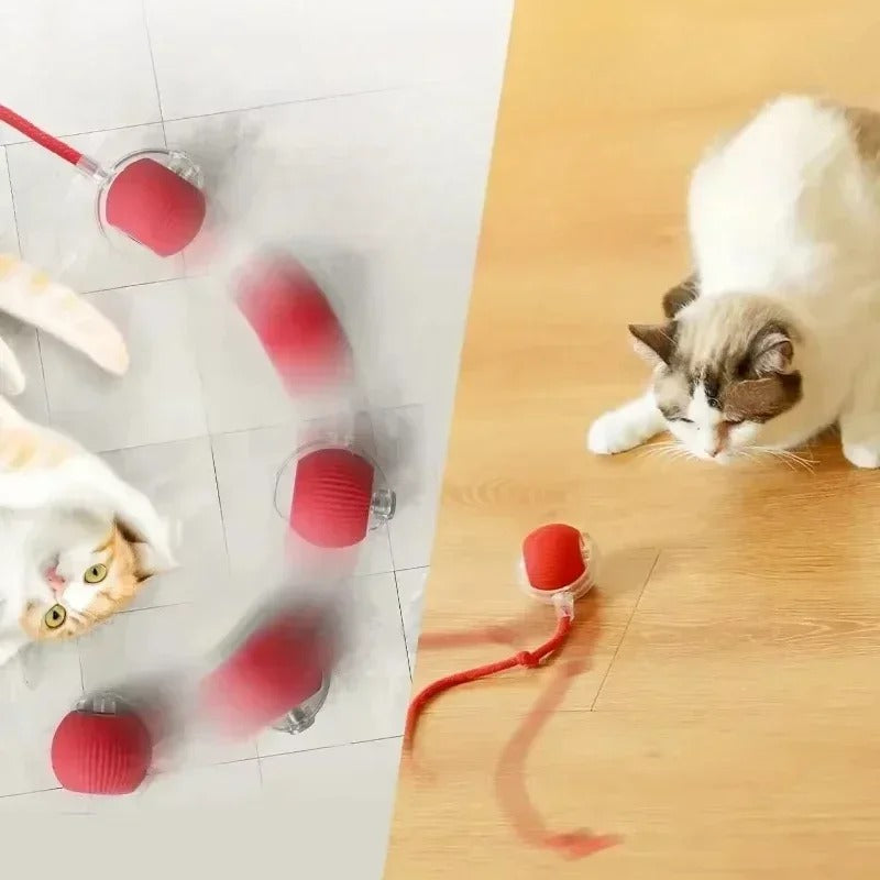 Interactive Cat/Dog Toys Bouncy Ball