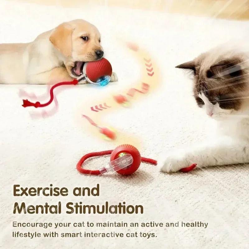 Interactive Cat/Dog Toys Bouncy Ball