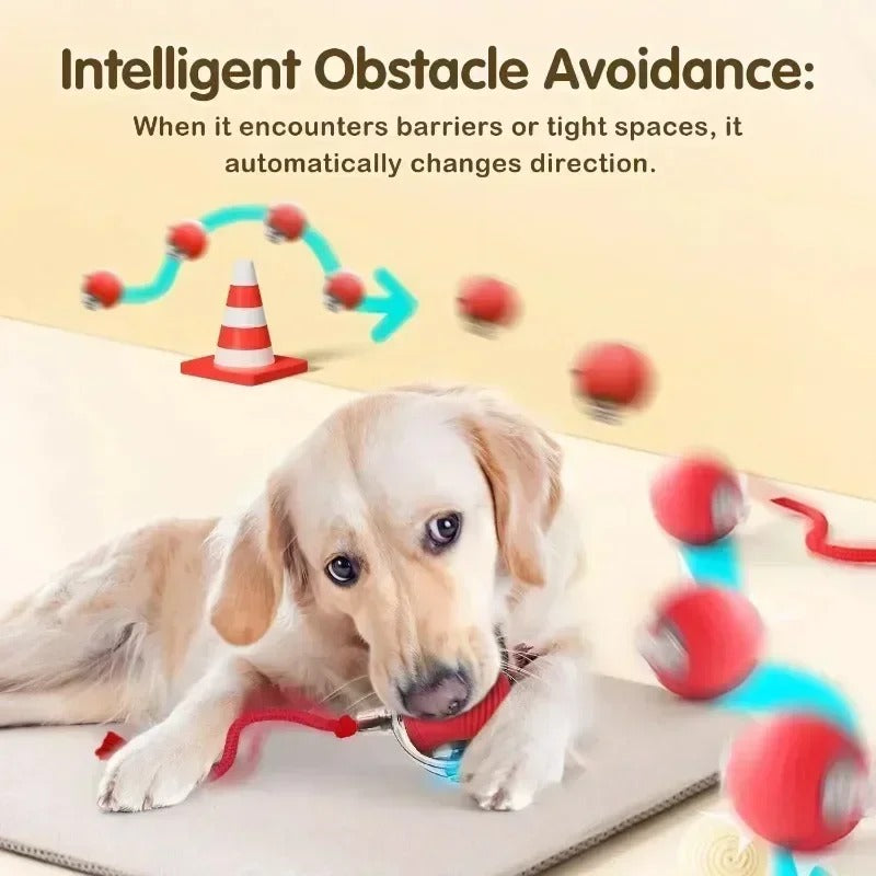 Interactive Cat/Dog Toys Bouncy Ball
