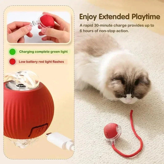 Interactive Cat/Dog Toys Bouncy Ball