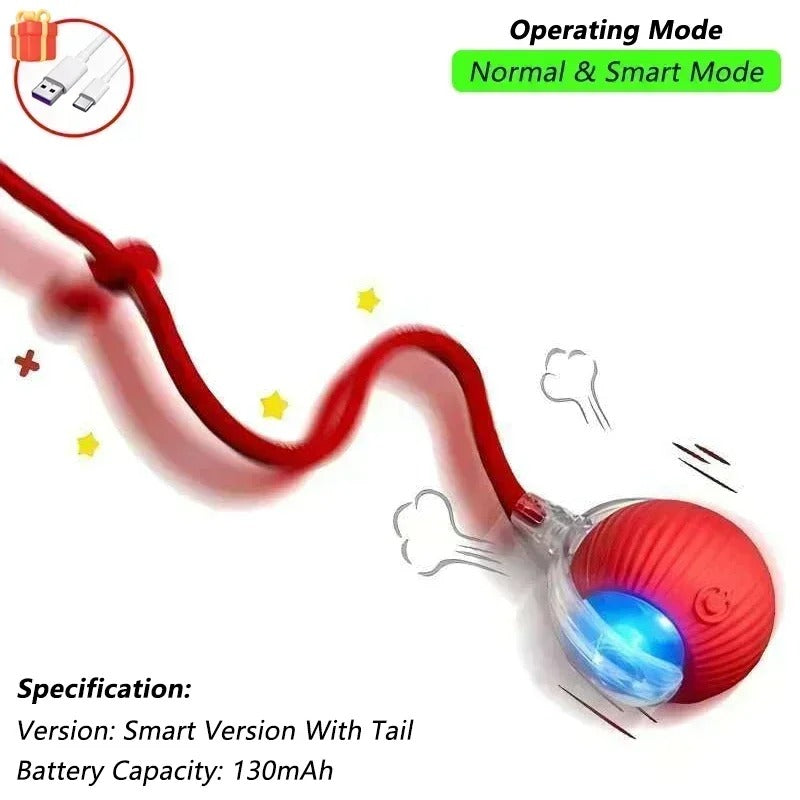 Interactive Cat/Dog Toys Bouncy Ball