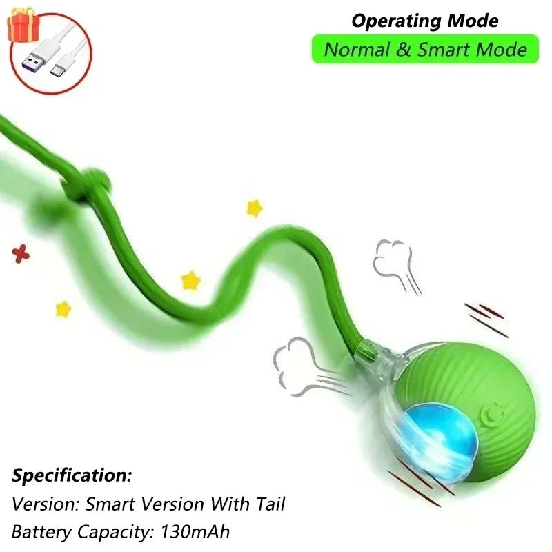 Interactive Cat/Dog Toys Bouncy Ball