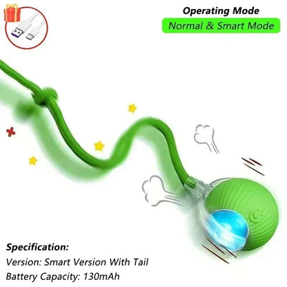 Interactive Cat/Dog Toys Bouncy Ball